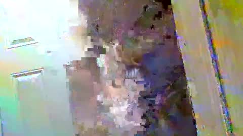 Walter online show from 12.09.24