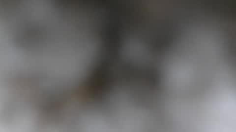 wantmymantofukme online show from 10.21.25