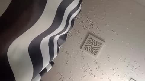 Snapshot of wanttowatch87 chatting on 12.25.24 wanttowatch87 online show from 12.25.24