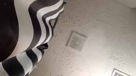 Snapshot of wanttowatch87 chatting on 02.20.25 wanttowatch87 online show from 02.20.25