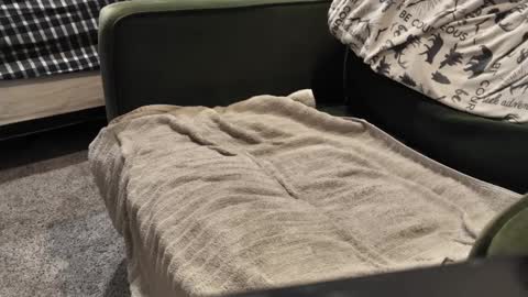 Snapshot of watcher950585 chatting on 01.03.25 Daddy online show from 01.03.25