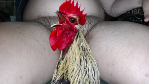 Snapshot of watcher_9 chatting on 12.08.24 classified online show from 12.08.24