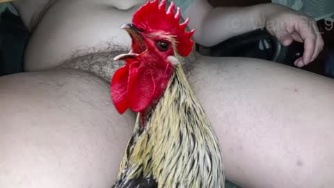 Snapshot of watcher_9 chatting on 12.24.24 classified online show from 12.24.24