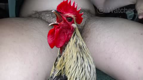 Snapshot of watcher_9 chatting on 12.29.24 classified online show from 12.29.24