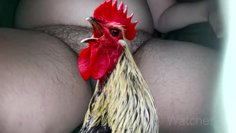 Snapshot of watcher_9 chatting on 10.07.25 classified online show from 10.07.25