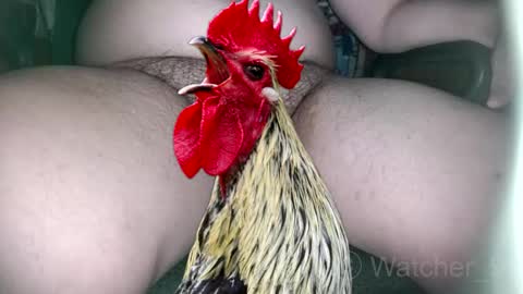 classified online show from 11.09.25