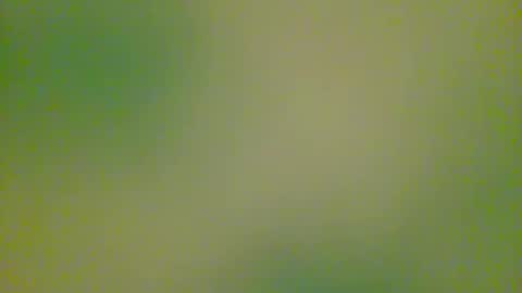 watchplaycum online show from 10.08.25