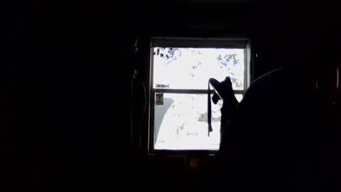 waterfire420 online show from 01.05.25