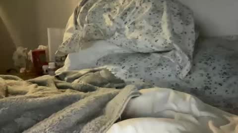 waveonce online show from 03.29.26