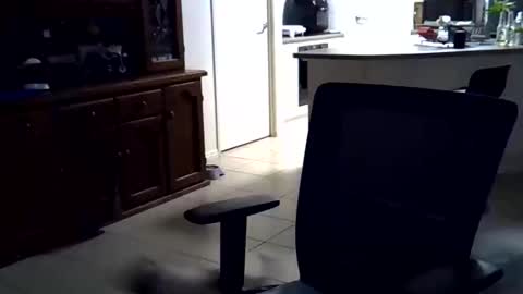 Snapshot of wellhelloo chatting on 02.15.26 Wellhelloo online show from 02.15.26