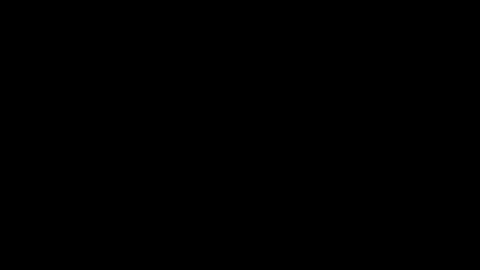 wellingtont online show from 09.25.25