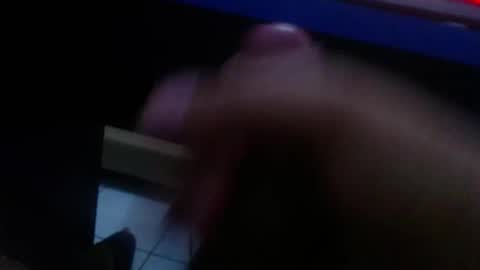 wellingtont online show from 01.18.26