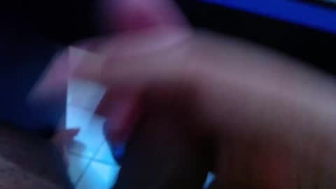 wellingtont online show from 03.17.26