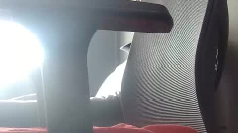 Wetbigdickstream online show from 06.23.26