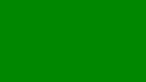 wetone308084 online show from 04.29.26