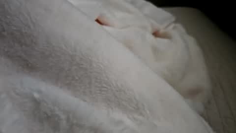 what_whaaat online show from 09.21.25