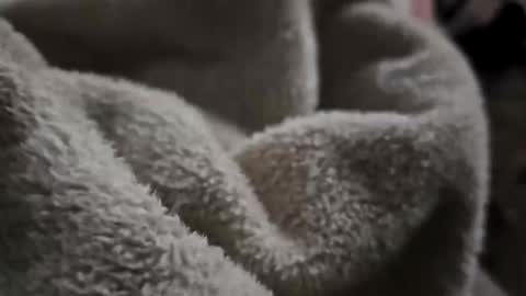 what_whaaat online show from 11.02.25