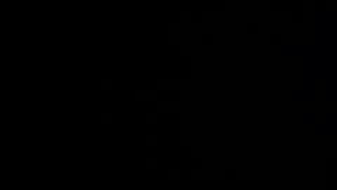 wheresmyladies online show from 12.11.24