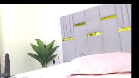 Whinebby online show from 12.05.25