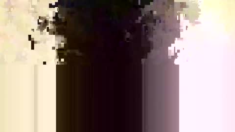 whitedood432 online show from 11.28.25