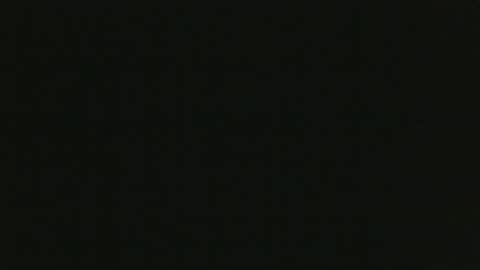 whitehead_lion online show from 10.19.25