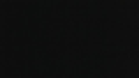 whitehead_lion online show from 11.06.25