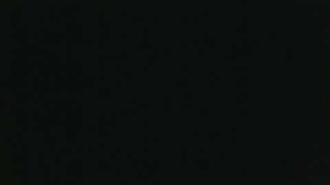 Snapshot of whitehead_lion chatting on 12.15.25 whitehead_lion online show from 12.15.25