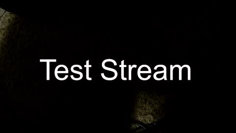 Snapshot of whowhat314159 chatting on 10.30.25 Will online show from 10.30.25