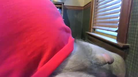 Snapshot of whydog chatting on 01.04.25 whydog online show from 01.04.25