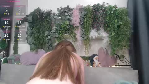 wiagra online show from 02.26.26