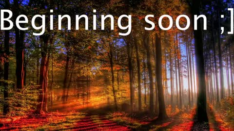 Wiedz online show from 01.02.25