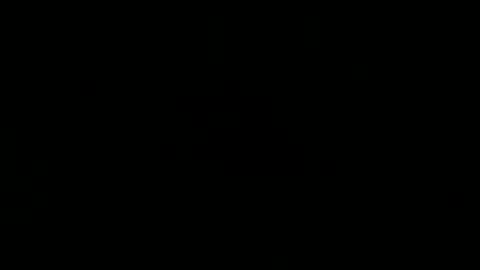 wild lemont online show from 02.25.26