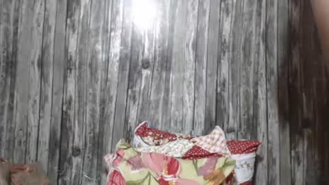 wild_ass_zessa online show from 11.27.25