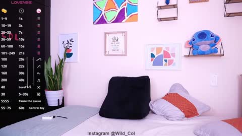 wild_col online show from 01.15.25