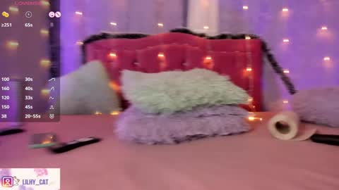Snapshot of wild_lilhy chatting on 12.23.24 Lily online show from 12.23.24