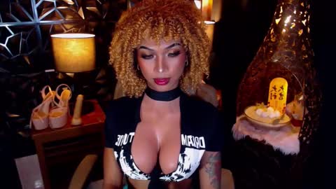 wildara online show from 03.03.25