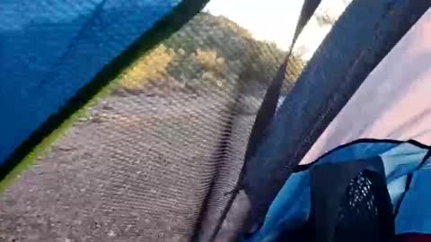 Snapshot of wildernessgoddess chatting on 11.14.25 wildernessgoddess online show from 11.14.25