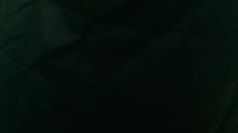 wildinwest online show from 02.09.26