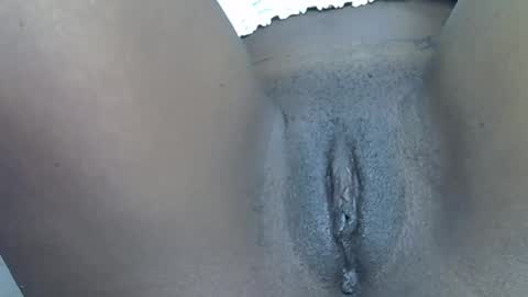 wildkitten online show from 02.22.26