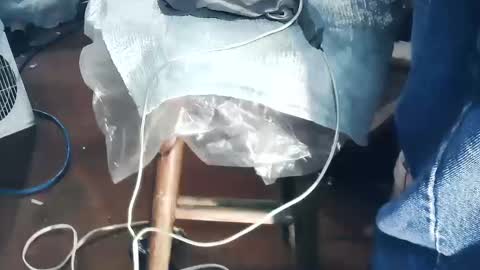 wildman6 online show from 10.19.25