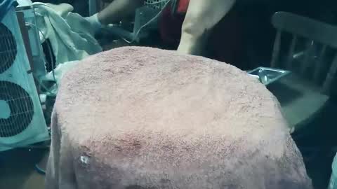 wildman6 online show from 03.27.26