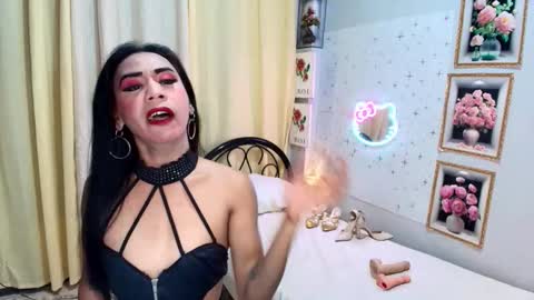 wildnika online show from 10.05.25