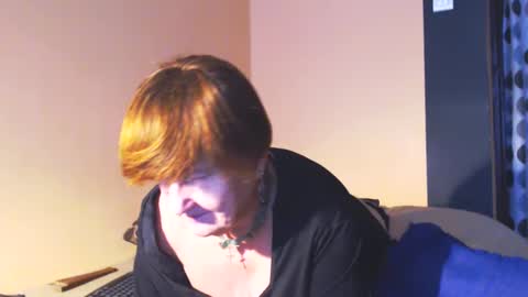 WildRedCat online show from 01.14.25