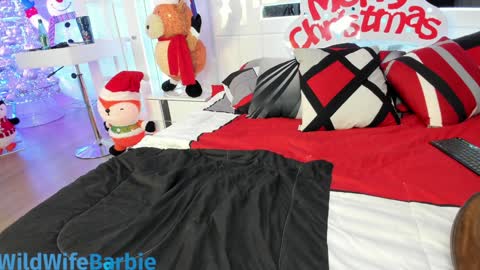 Snapshot of wildwifebarbie chatting on 12.11.24 Angelica 49 online show from 12.11.24
