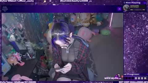 Wylie Wanderlust online show from 02.01.26