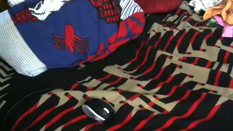 Snapshot of willamyth chatting on 01.19.25 Willamyth online show from 01.19.25