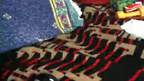 Snapshot of willamyth chatting on 02.18.25 Willamyth online show from 02.18.25