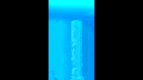 willielowrider online show from 02.18.26