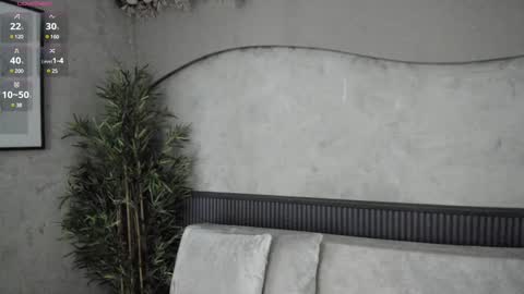 Snapshot of willow_hendrix chatting on 12.12.24 Ms Willow online show from 12.12.24