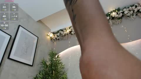 Snapshot of willow_hendrix chatting on 12.28.24 Ms Willow online show from 12.28.24